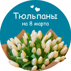 Купить тюльпаны в Смоленске